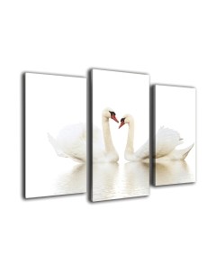 Картина модульная Arthata m-000140