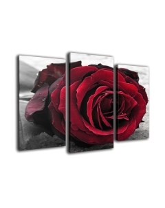 Картина модульная Arthata m-000568