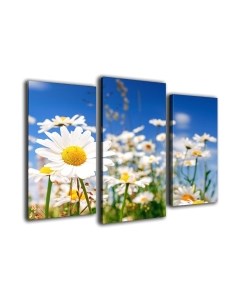 Картина модульная Arthata m-000224