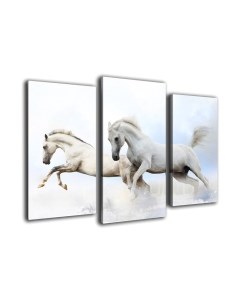 Картина модульная Arthata m-000328