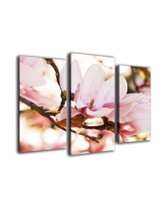 Картина модульная Arthata m-000288