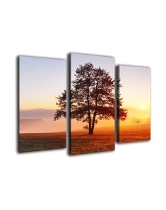 Картина модульная Arthata m-000348