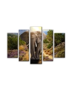 Картина модульная Arthata 5m-480