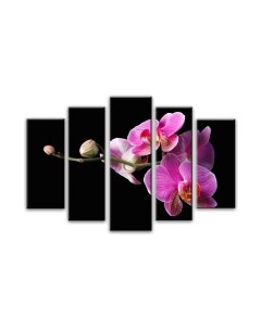 Картина модульная Arthata 5m-673