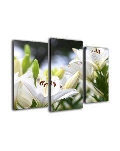 Картина модульная Arthata m-000483