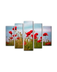 Картина модульная Arthata 5m-371