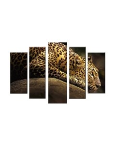 Картина модульная Arthata 5m-517