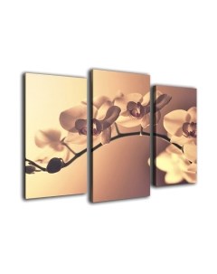 Картина модульная Arthata m-000274