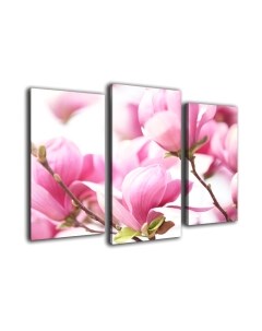 Картина модульная Arthata m-000203