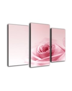 Картина модульная Arthata m-000268