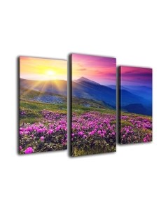 Картина модульная Arthata m-000339