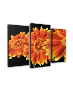 Картина модульная Arthata m-000471