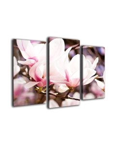 Картина модульная Arthata m-000516