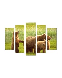 Картина модульная Arthata 5m-539