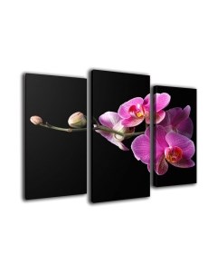 Картина модульная Arthata m-000467