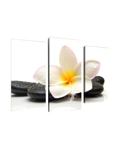 Картина модульная Arthata m-000120