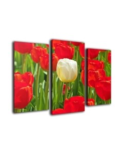 Картина модульная Arthata m-000570