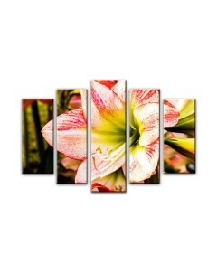 Картина модульная Arthata 5m-134