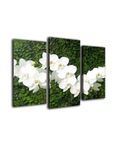 Картина модульная Arthata m-000300