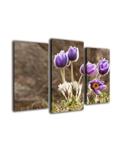 Картина модульная Arthata m-000257