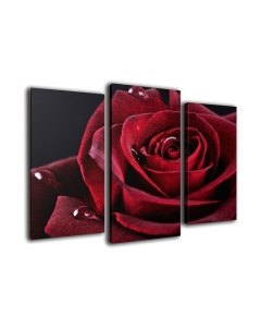 Картина модульная Arthata m-000469