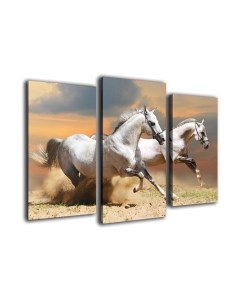 Картина модульная Arthata m-000324