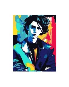 Картина по номерам Red Panda Тимоти Шаламе Поп Арт p54958 Red panda