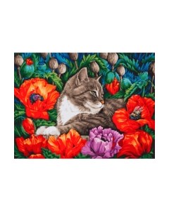 Картина по номерам БЕЛОСНЕЖКА Кот в маках / 3183-CS Белоснежка