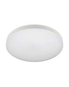 Потолочный светильник Relict 22 SPB-6-20 4К WH / Б0059507 Эра