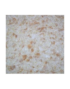 Жидкие обои Silk Plaster Эколайн 763 Silk plaster