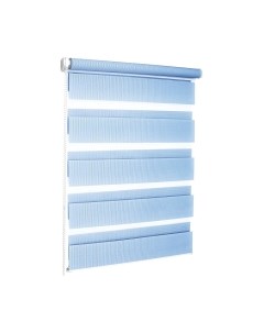 Рулонная штора Эскар День-Ночь 98x170 / 400506098