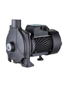 Центробежный насос Pumpman TCP130