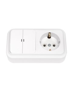 Блок выключатель+розетка Пралеска 2В-РЦ-569 Bylectrica