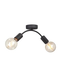 Потолочный светильник Vitaluce V4989-1/2PL