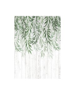 Фотообои листовые Vimala Листья акварель 3