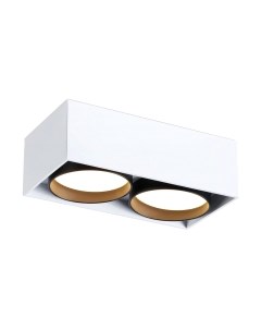 Точечный светильник Ambrella TN70872/2 WH/BK