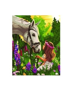 Картина по номерам Школа талантов Лошадка и девочка в поле 7153381