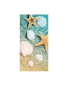 Картина Stamion Морские звезды