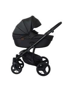 Детская универсальная коляска Corsa Ecco 2 в 1 с переноской Ray