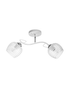 Потолочный светильник Aitin-Pro НПБ 02-2x60-101 / C1726/2 Aitin-pro