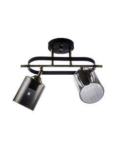 Потолочный светильник Aitin-Pro НПБ 02-2x60-101 / N5282/2 Aitin-pro