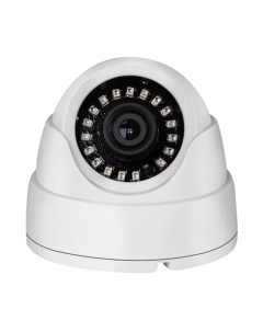 Аналоговая камера Arsenal AR-T201EL