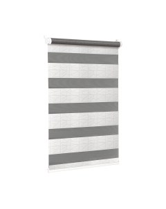 Рулонная штора Delfa Сантайм День-Ночь Роко МКД DN-43051