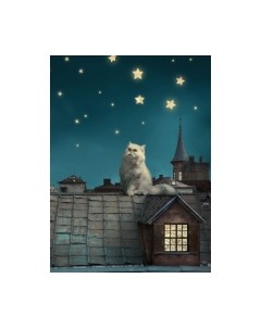 Фотообои листовые ФабрикаФресок Кот на крыше / 472270 Фабрикафресок