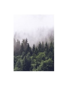 Фотообои листовые ФабрикаФресок Туманный лес / 192280 Фабрикафресок