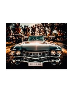 Картина Born To Be Wild / CA-13051 Orlix