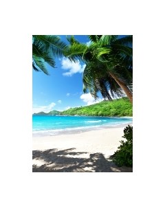 Фотообои листовые Arthata Fotooboi-19