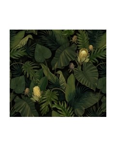 Фотообои листовые Vimala Густые листья 2
