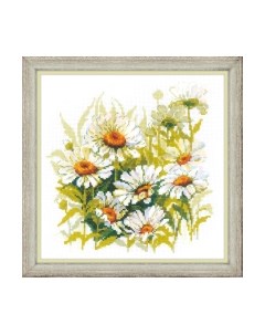 Набор для вышивания Крупные ромашки / 1765 Риолис