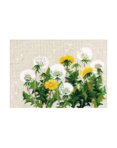 Набор для вышивания Одуванчики / 807 Риолис